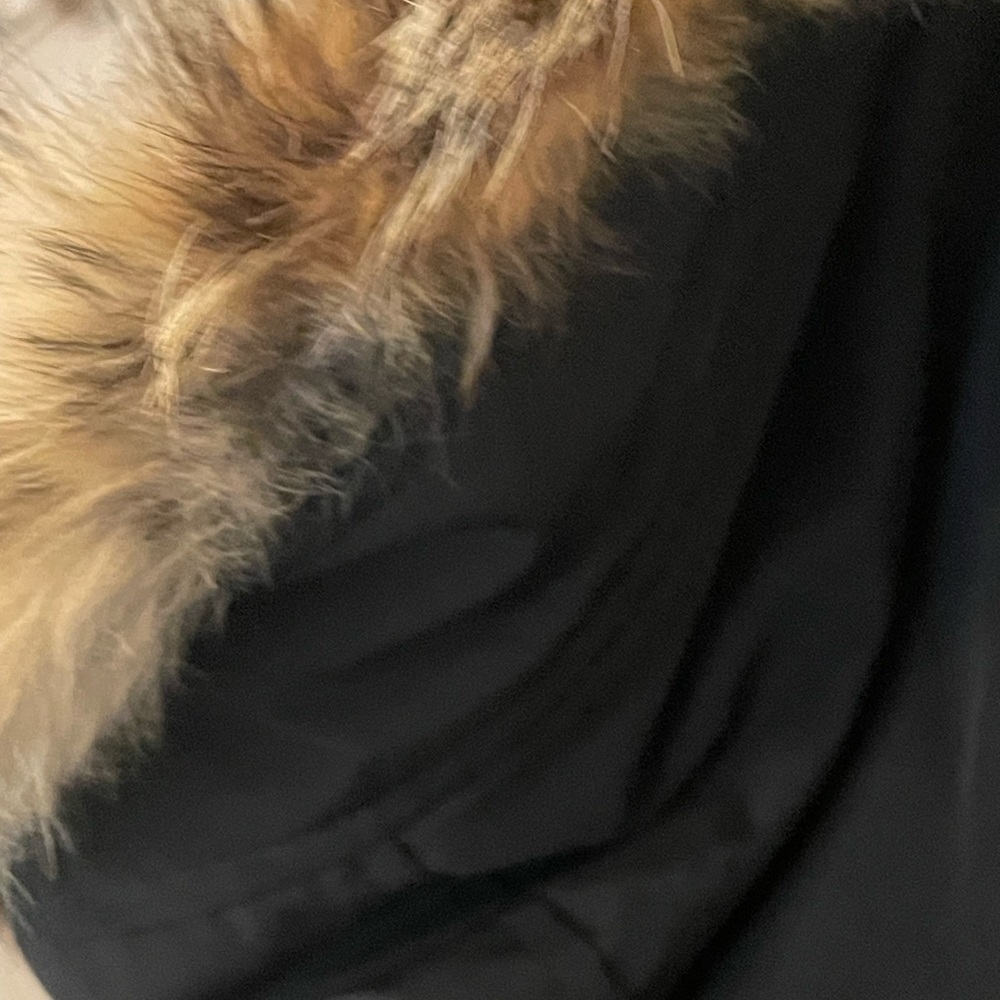 Langford Parka Black - L - Picture 13 of 15